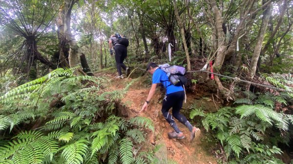 【淡蘭古道尋寶任務】淡蘭南路第四段｜𩻸魚堀溪自行車道至縣界公園2926451