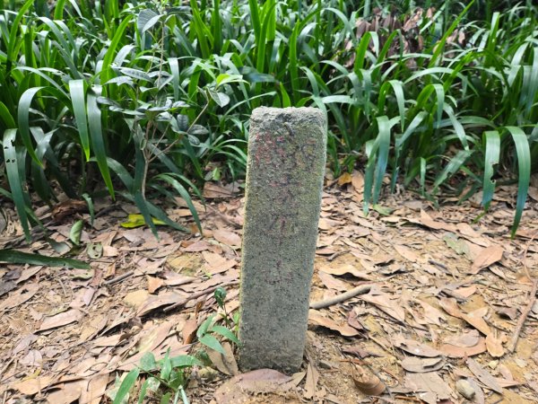 桃園石門山（小百岳）2910054