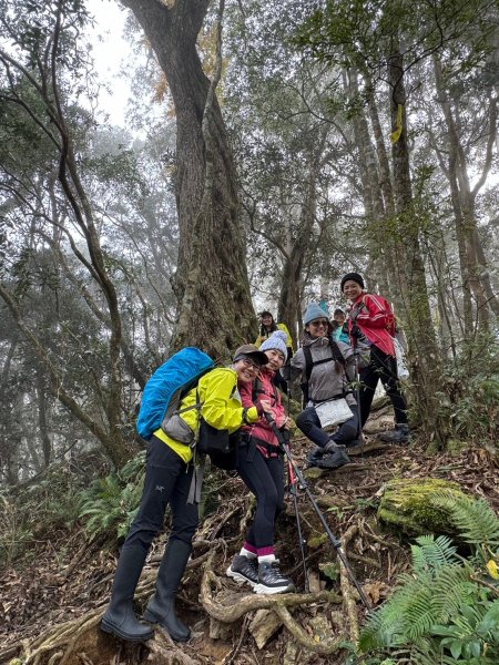 🌈12/18（三）魔法森林-塔曼山~網美打卡-巴陵鐵塔🌈2671861