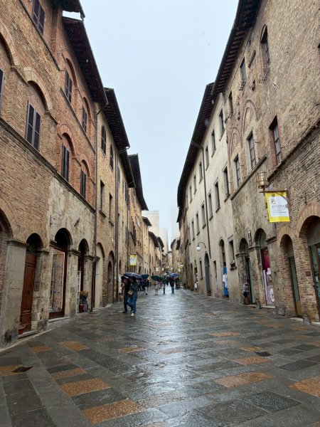 Via Francigena D1: San Gimignano-Colle di Val d’El