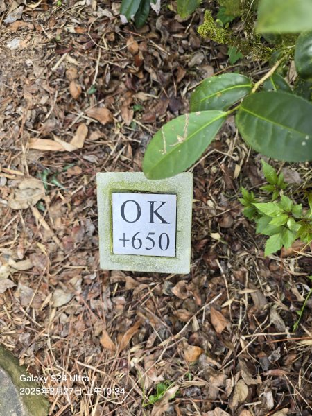 2025-02-27二延平步道2725421