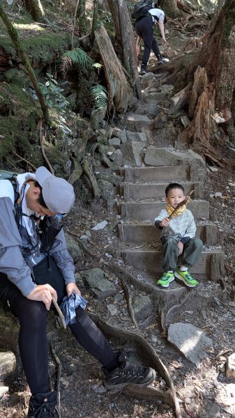 八仙山主峰步道3021282