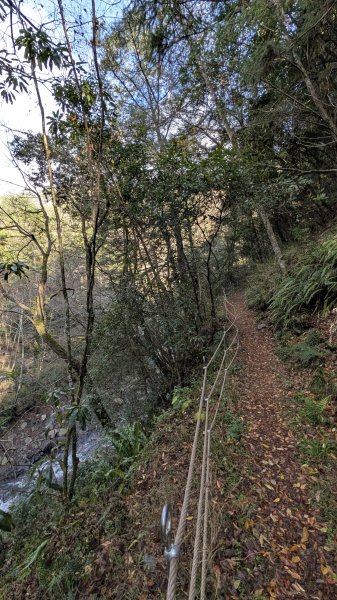 環山獵人登山步道3021036