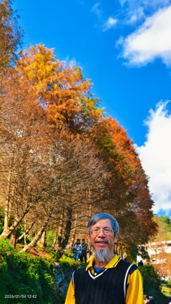 #花卉試驗中心 #永公路500巷 #平菁街42巷 #原住民公園 #士林官邸 1/42976539