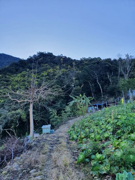 盧山六寶-再生山1616324