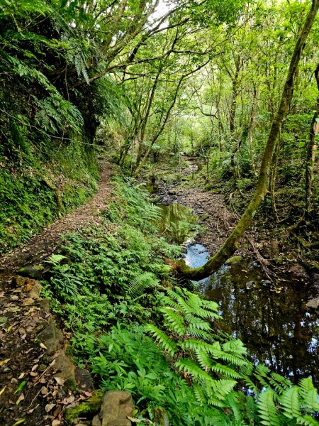 淡蘭中路第四段：威惠廟至灣潭古道登山口(崩山坑線)2882732