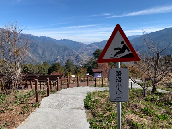 梨山賓館步道875966