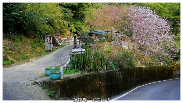 面天古道&楓樹湖1282351