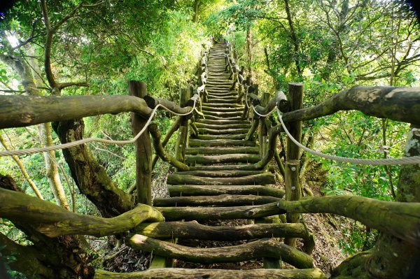 臺中 新社 頭嵙山、黑山、石苓湖山3047658