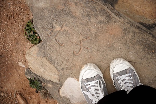 馬祖北竿螺蚌山步道2698751