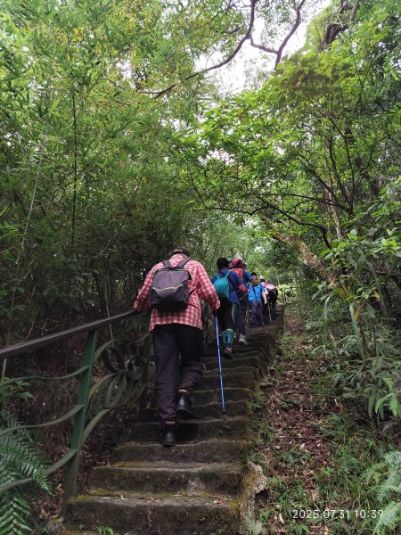 大湖公園→大溝溪生態治水園區→圓覺寺步道→圓覺瀑布→圓覺寺→鯉魚山步道【臺北大縱走 4、臺北健走趣】2849138