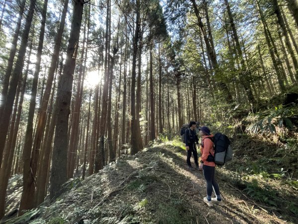 干卓萬橫斷 2024 11/29 四天三夜2865560