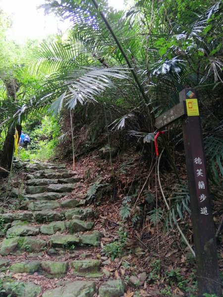 【台中。和平】清悠賞景。 德芙蘭生態步道1099046