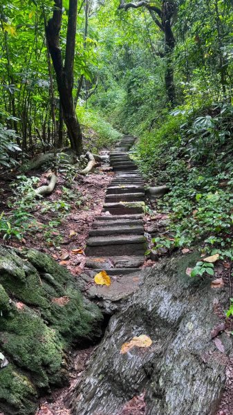 20260814小百岳笠頂山3112437