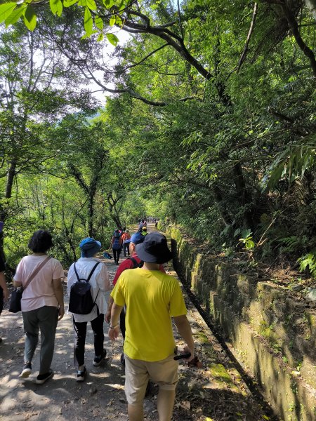 20251108草嶺古道2936135