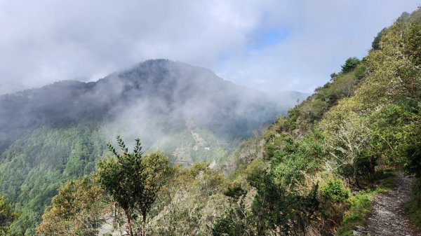 玉山前峰，關子嶺大凍山，宜蘭拳頭姆自然步道2313394