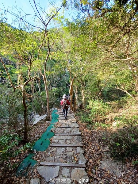 【屏東獅子鄉】海天一色。 台灣百大必訪步道~里龍山自然步道2550738