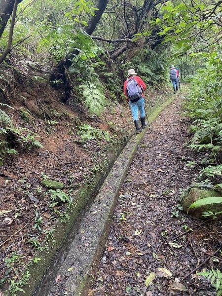 金山重光(茅埔頭)探南勢湖古道新途徑連走八煙溪畔保甲路O行