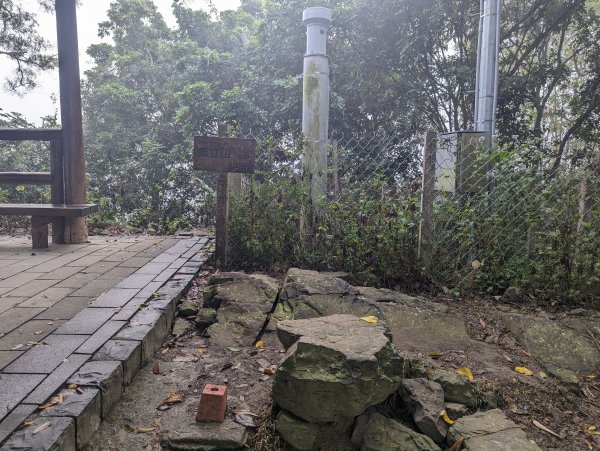 雲海、鐵道、竹林、茶園@景觀變化多且視野展望佳的雲嘉七連峰1559370