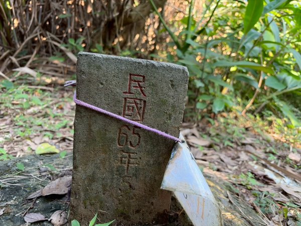 新北 金山 磺港山 獅頭山3000193