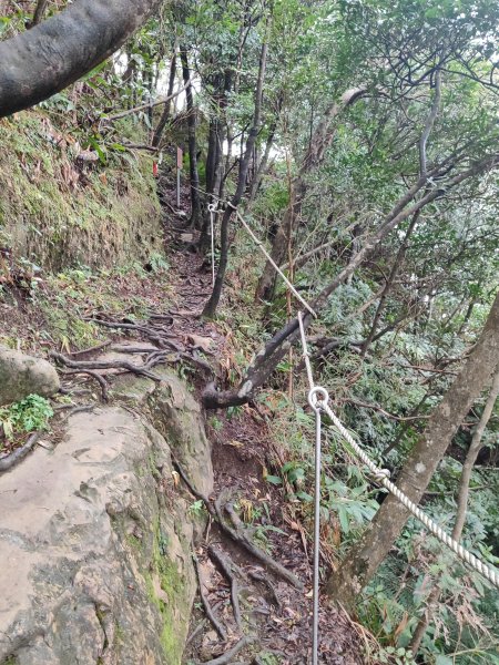 微笑山線：【二格山系】皇帝殿稜線段2955971