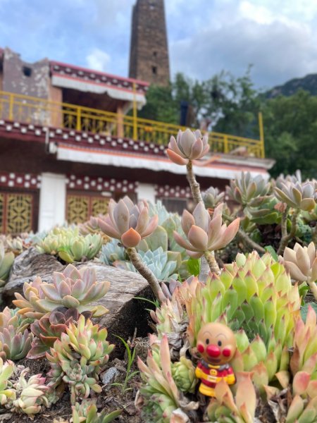 川藏深度之旅33天/A行程2901248