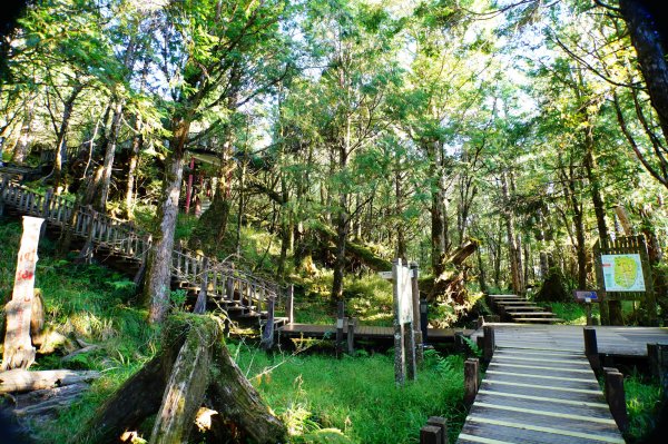 宜蘭 大同 多門山3127616
