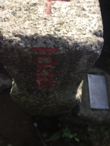 天上山縱走圓通寺483287