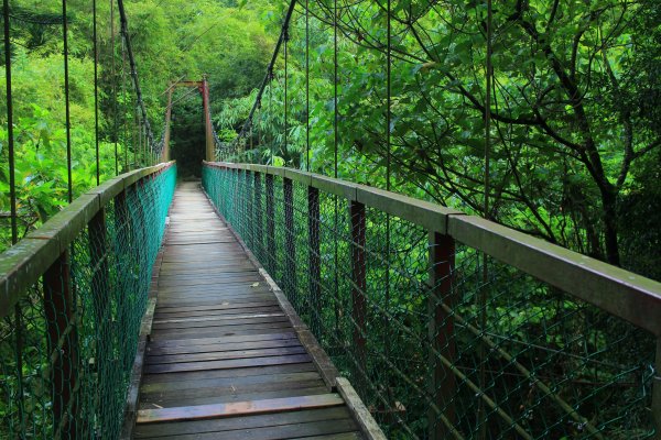 台南虎形山公園步道202009191159506