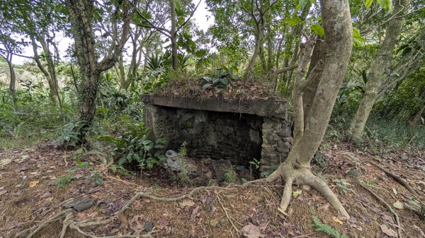 114.12.20劉銘傳隧道-獅球嶺北峰-獅球嶺東砲台山-獅球嶺池-獅球嶺砲台山之旅2966722