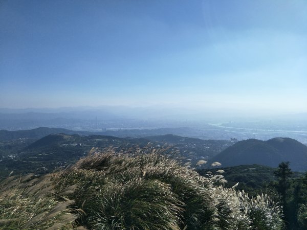 2018 10 29 七星山主、東峰登山步道448161