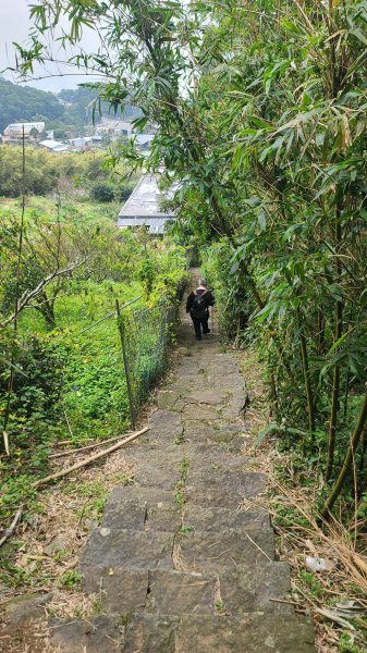 2026-0116 大屯三山_貴子坑_北投2984773