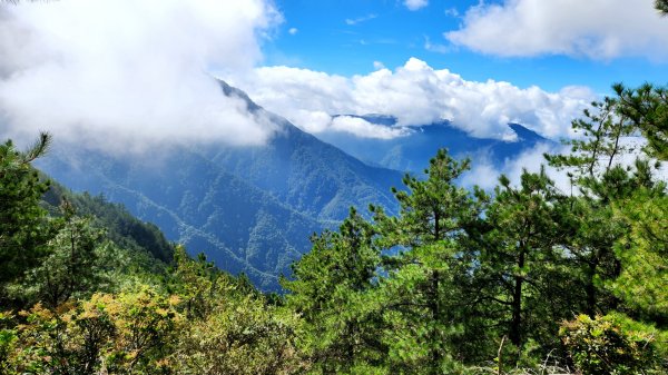 玉山前峰，關子嶺大凍山，宜蘭拳頭姆自然步道2313397