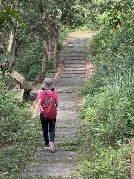 挑水古道附近古道串聯+藤山步道202505032784343