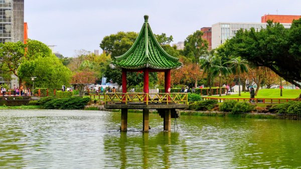 大安公園,台大校園3012124