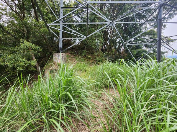 20250329東坑山八角崠山打鹿坑山2798884