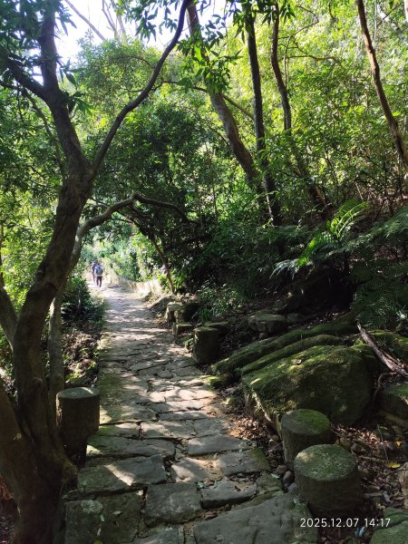 【臺北大縱走 5】碧山巖→忠勇山越嶺步道→金龍產業道路→圓明寺步道→鄭成功廟→潛園→格物台→劍潭古寺2958976
