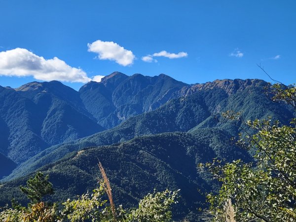 【中級山縱走】羅馬縱走，走進神木的夢幻童話森林世界2943241