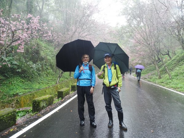 2022年02月20日(鳳凰山協)南投信義-望鄉部落-獵人古道之望美山及瓊山1616626