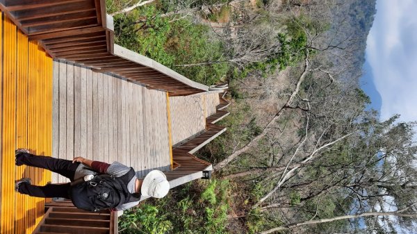 《南投》惠蓀林場｜杜鵑嶺園區O型202304032093171