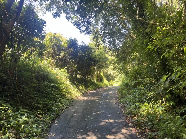 [皮皮獅Hike客任務-07/10] 2024_0831 大山背麒麟步道2586091