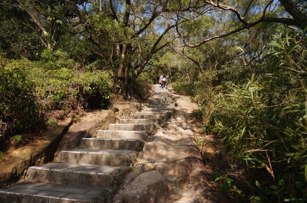 軍艦岩、丹鳳山親山步道1986003