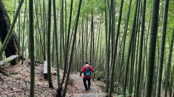 《雲林》望好望角｜石壁山嘉南雲峰步道(中側登山口）202506072805323