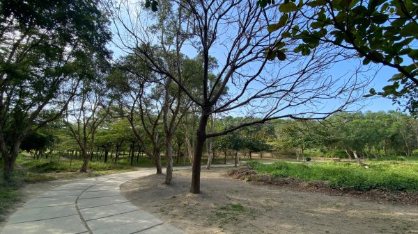 尚書林山步道(鳳凰山)2730897