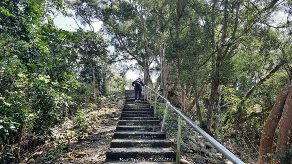 《彰化》登山逛市集｜臥龍坡步道環藤山步道202503222740498