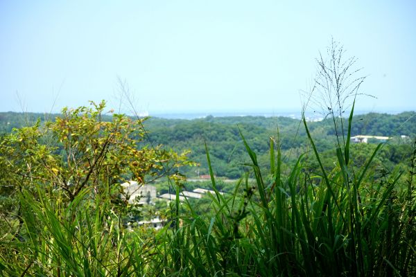 造橋口山古步道158564