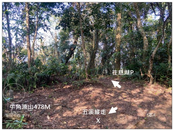 草嶺山、白石山、頭寮山 六連峰 O型路線2798679