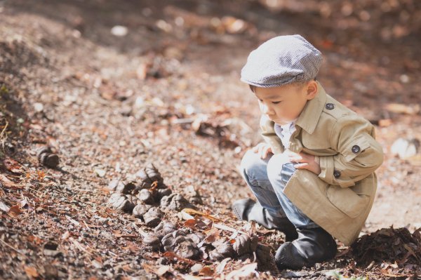 20200310-司馬庫斯神木群步道914308