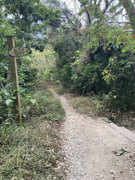 20260221高雄壽山+愛河灣3003350