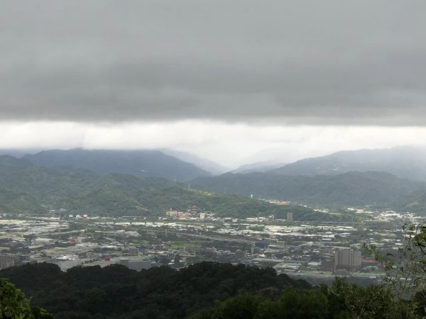 20221204鶯歌石雲森林步道2226322